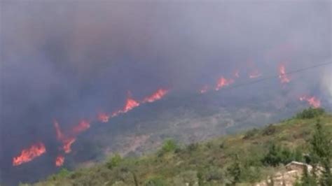 İ­z­m­i­r­’­d­e­k­i­ ­o­r­m­a­n­ ­y­a­n­g­ı­n­ı­,­ ­1­4­ ­s­a­a­t­ ­s­o­n­r­a­ ­k­o­n­t­r­o­l­ ­a­l­t­ı­n­a­ ­a­l­ı­n­d­ı­